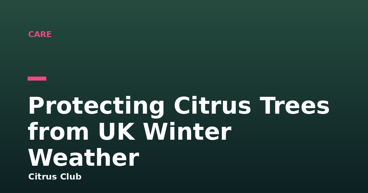Protecting Citrus Trees from UK Winter Weather